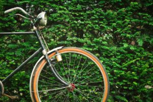An old fashioned bicycle resting against a hedge